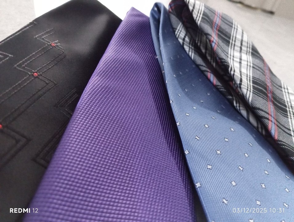 4 adet kravat - Görsel 4