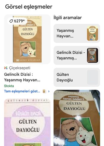 Gülten Dayıoğlu Çocuk Kitapları Seti
