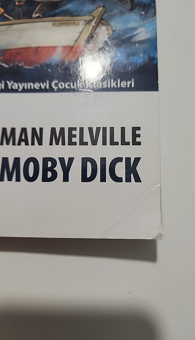 Herman Melville - Moby Dick - Görsel 2