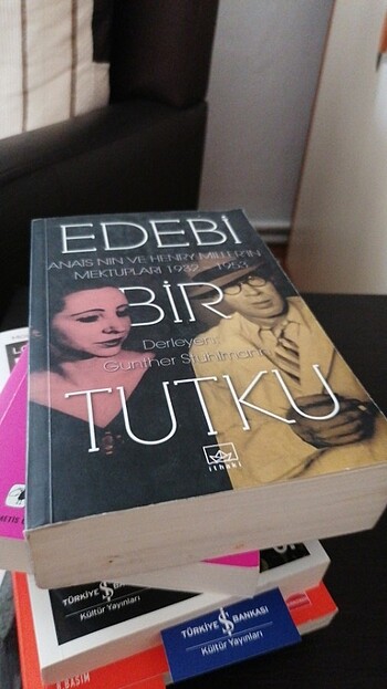 Edebi bir tutku ithaki yayınları  - Görsel 2