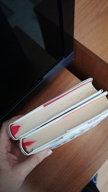 Kurucunun kızı, Devrimin kızı - Görsel 5