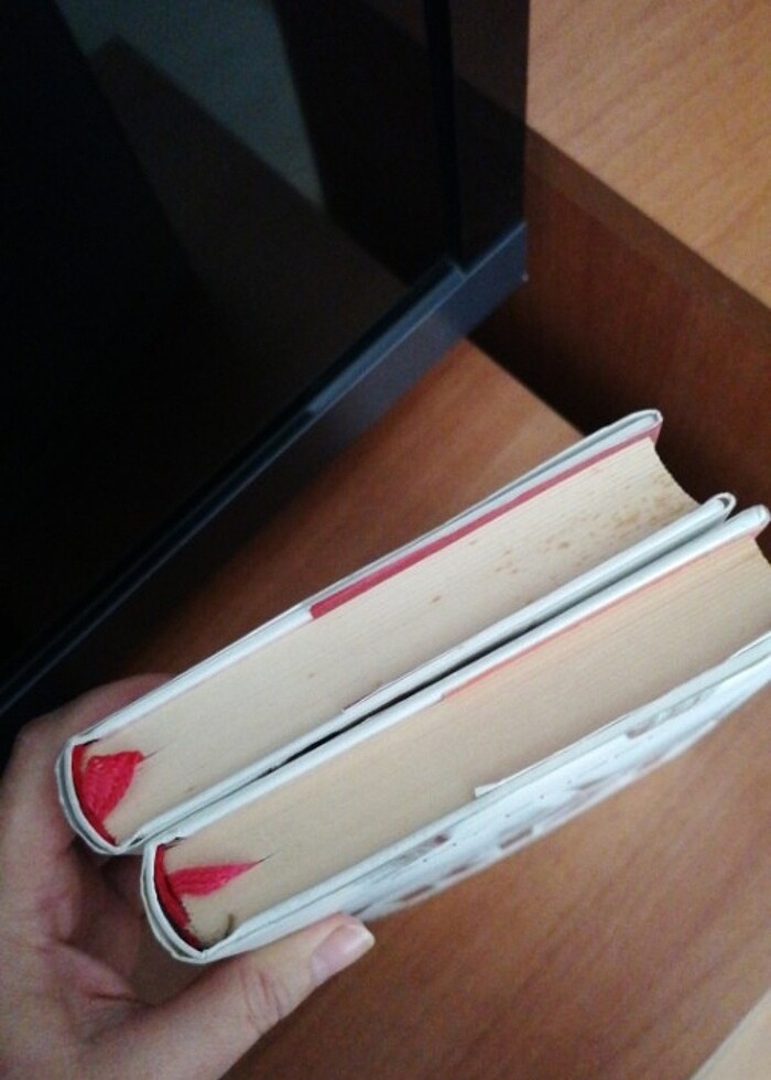 Kurucunun kızı, Devrimin kızı - Görsel 5