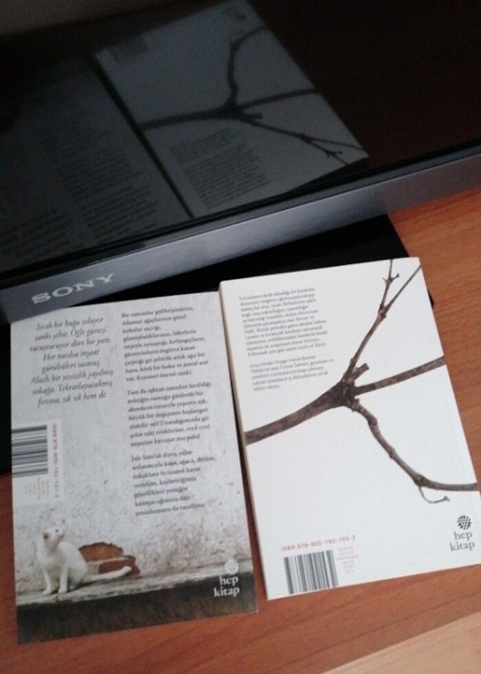 Jale Sancak Fırtına takvimi, Uyuyan güzel  - Görsel 2