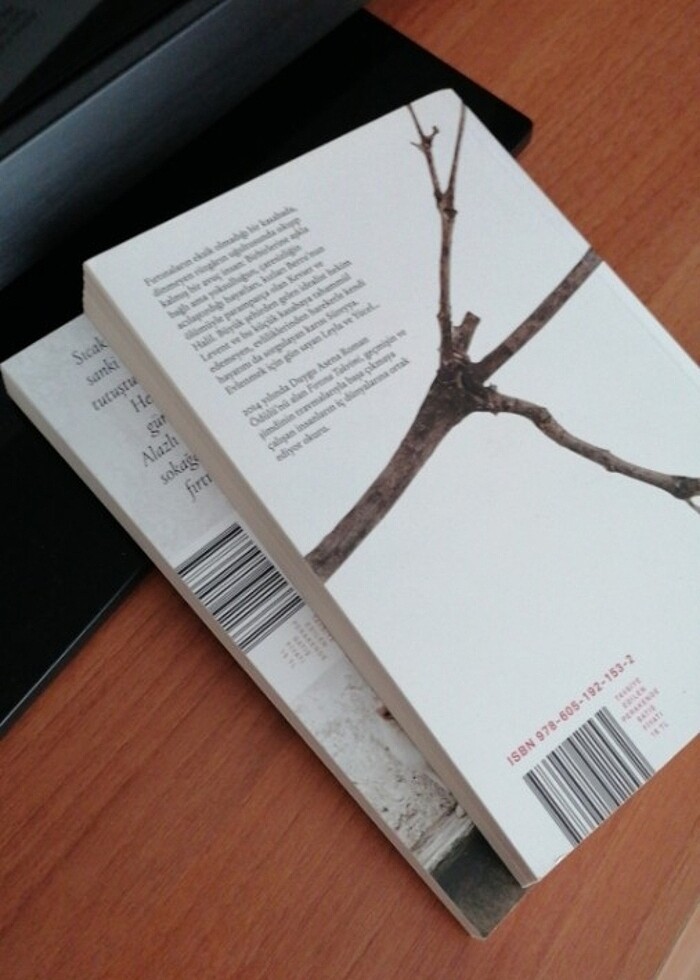 Jale Sancak Fırtına takvimi, Uyuyan güzel  - Görsel 3