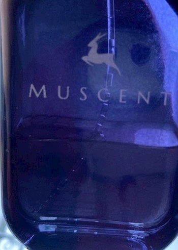 MUSCENT Burberry-Her Kadın Parfümü - Görsel 2