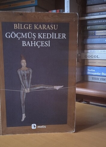 bilge Karasu - göçmüş kediler bahçesi