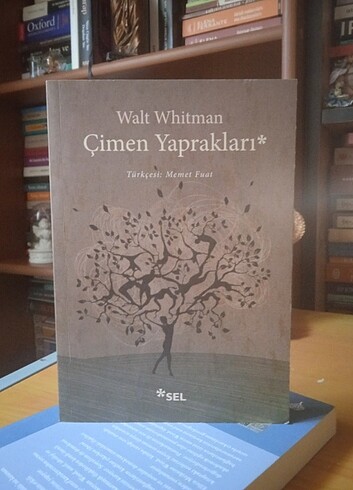 walt whitman - çimen yaprakları 