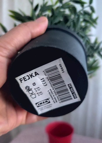 Renkli Dekoratif Kabak Seti ve Saksı elimde 10 adet mevcut - Görsel 3