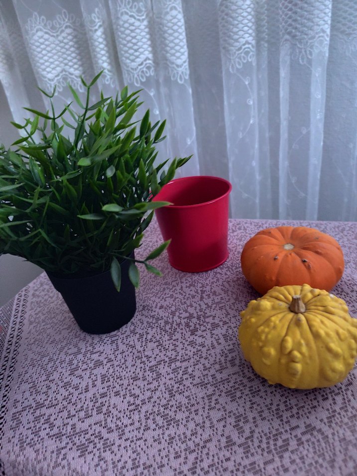 Renkli Dekoratif Kabak Seti ve Saksı elimde 10 adet mevcut - Görsel 4