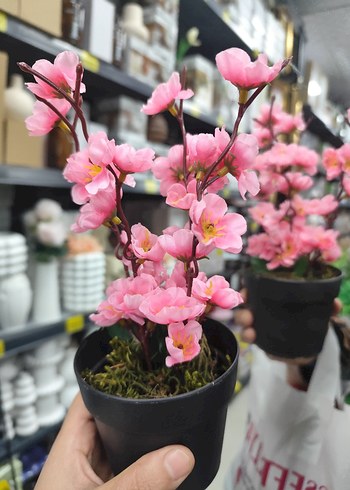 Pembe Yapay Çiçekli Mini Saksı - Görsel 3