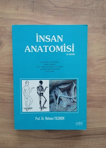 Anatomi kitap