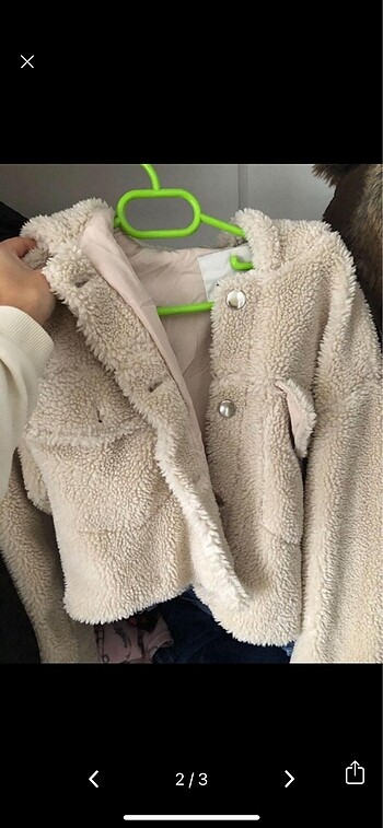 Pull and Bear Pull bear ceket
