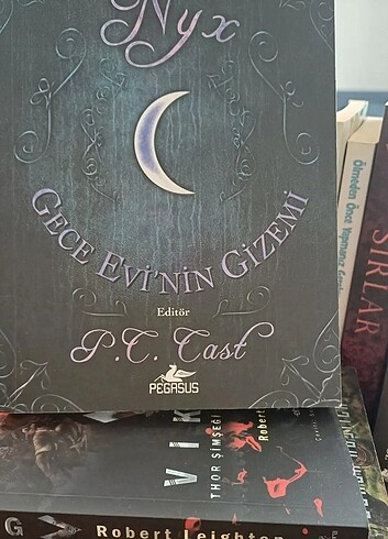 Gece evinin gizemi 