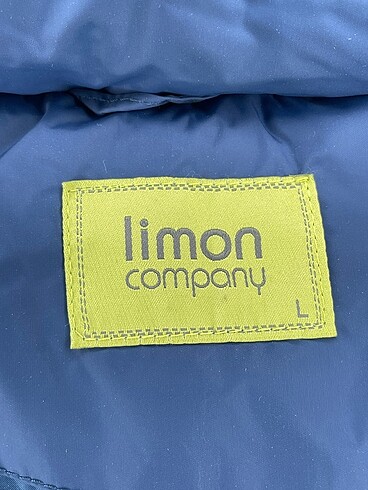 l Beden mavi Renk Limon Company Mont %70 İndirimli.