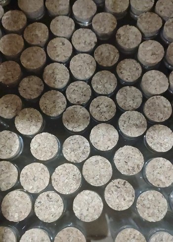 Bej Mantar Kapaklı Can Şişe - Görsel 5