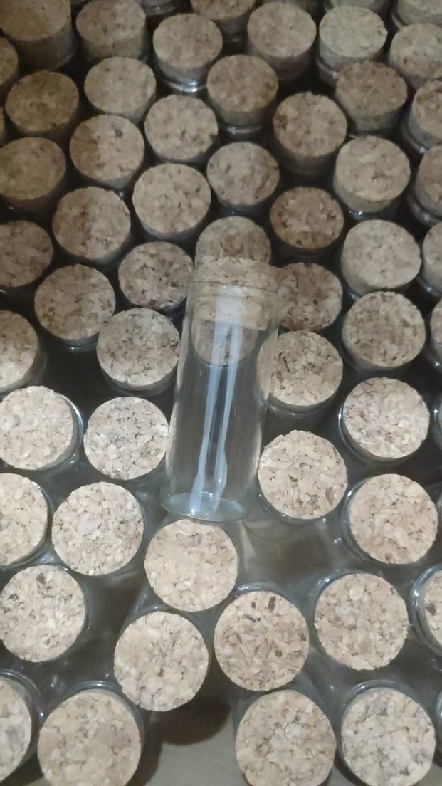 Bej Mantar Kapaklı Can Şişe - Görsel 4