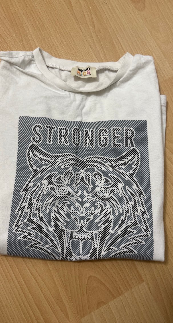 Erkek Çocuk Gri Baskılı Kısa Kollu Tişört - Görsel 2