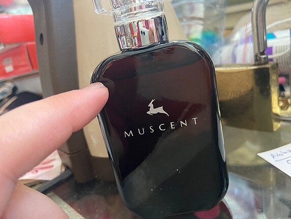 Xerjoff more than words parfüm muscent