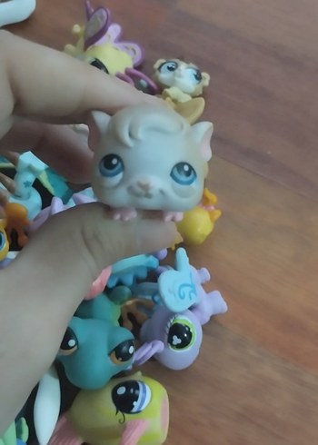 hamster miniş