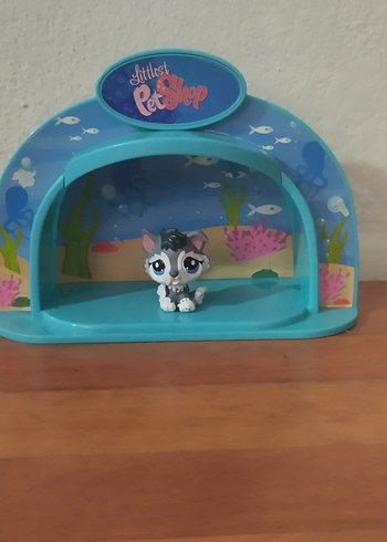miniş akvaryumu orjinal