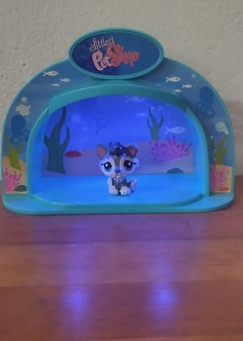  miniş akvaryumu orjinal