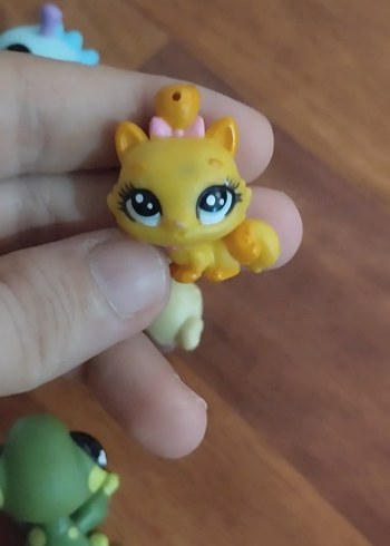kedi miniş