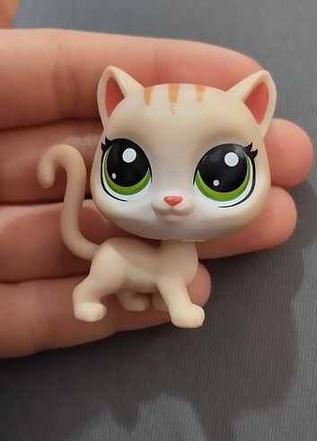 Miniş