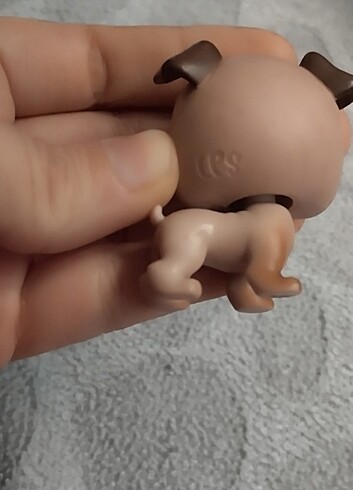 LPS Minişler Miniş