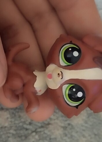 Miniş