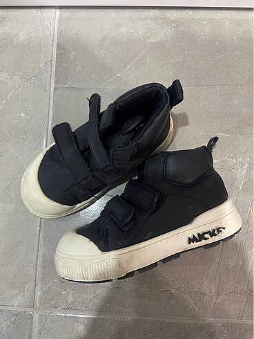 Zara 24