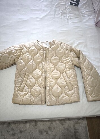38 Beden ten rengi Renk Lc waikiki mont