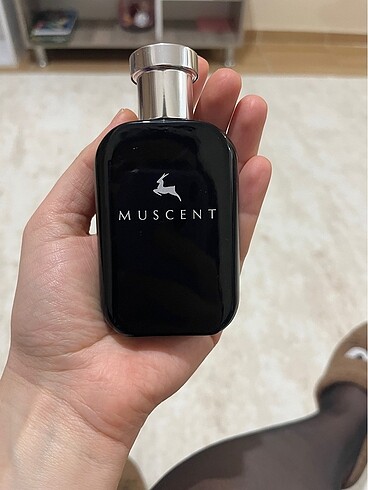 Diğer Muscent ütopik van
