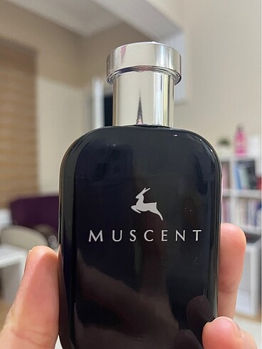  Beden Renk Muscent ütopik van