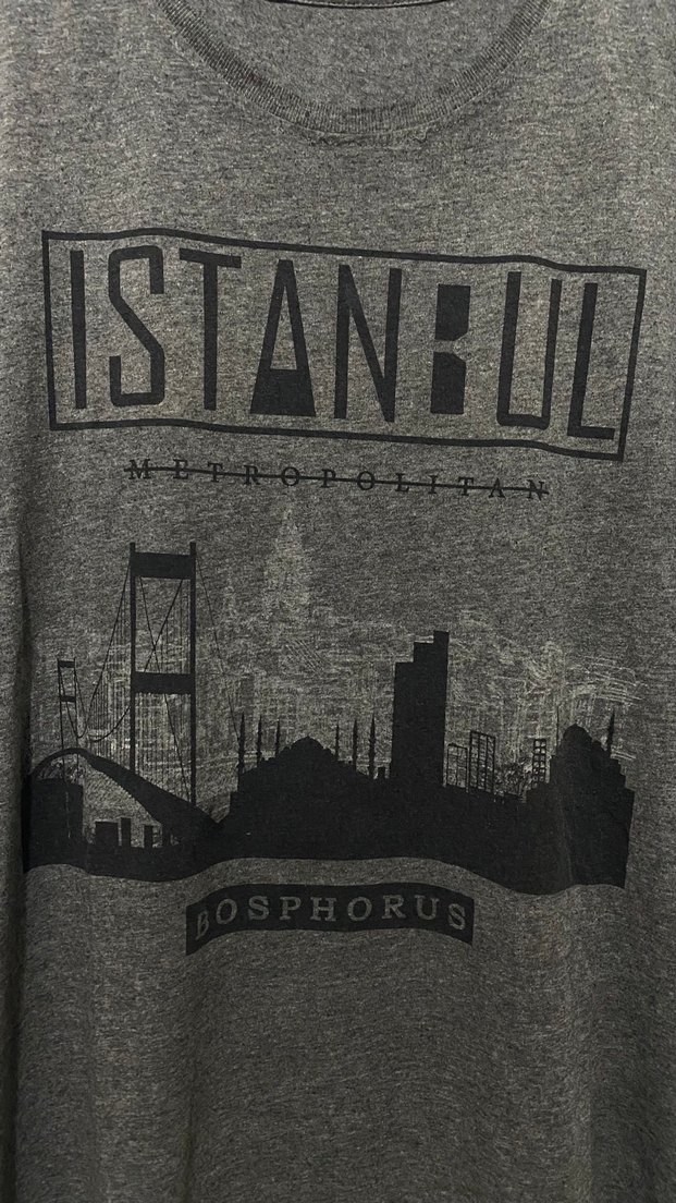 Gri Baskılı Erkek Tişörtü - Görsel 2