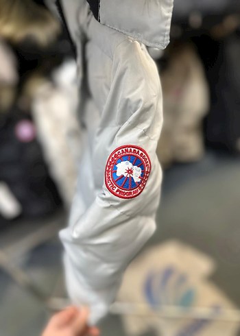 Gri Erkek Çocuk Kürklü Kapüşonlu Mont - Görsel 3