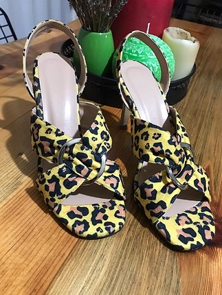 Sarı leopar