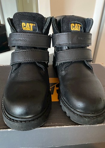 Cat 32