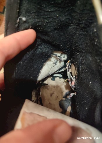 sıfır ürün hiç giyilmedi kadın süet bot - Görsel 4