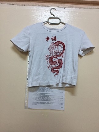 Ejderha desenli crop