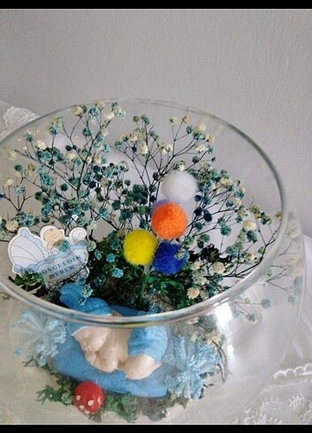 Doğum hediyesi terraryum - Görsel 3