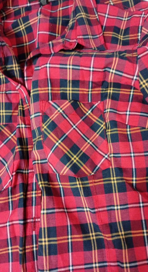 Mavi Kırmızı Ekoseli Düğmeli Kadın Gömlek - Görsel 2