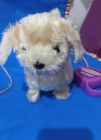 Diğer Tasmalı köpekler