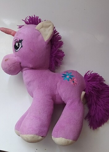 Ponyy at