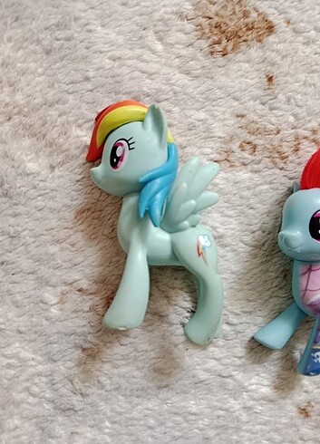 Beden Rainbow pony