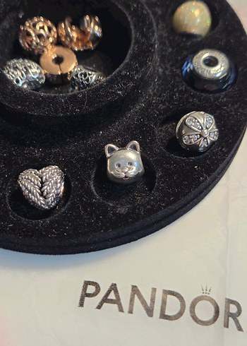 2015 curious cat charm