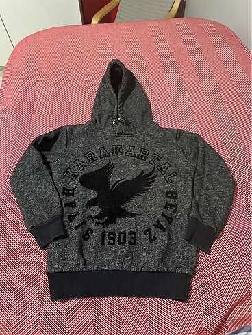 Kartalyuvası Erkek Kapşonlu Sweat