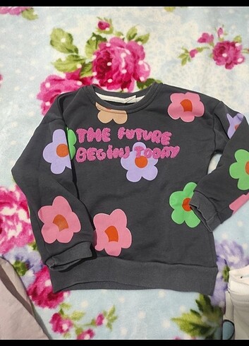 Zara sweatshirt 