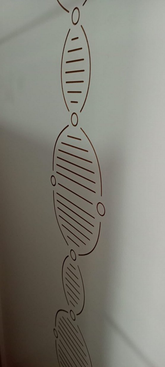 Beyaz Çocuk 2 katlı Ranza Yatak - Görsel 4