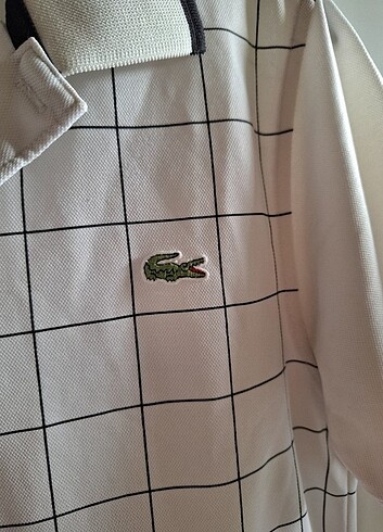 m Beden Lacoste Tişört