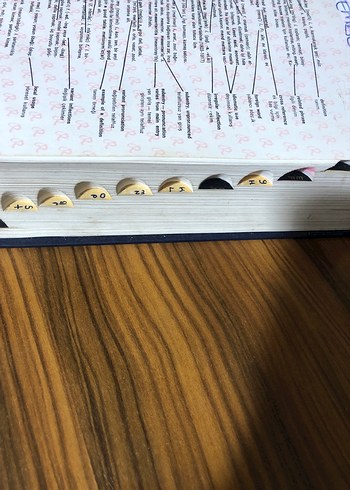 Redhouse İngilizce-Türkçe Sözlük - Görsel 5